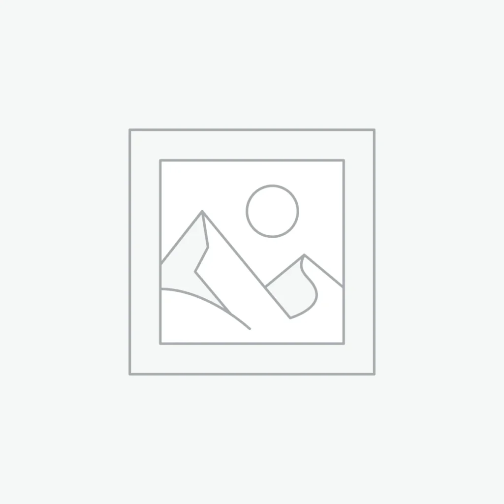 SEO & Dijital Altyapı